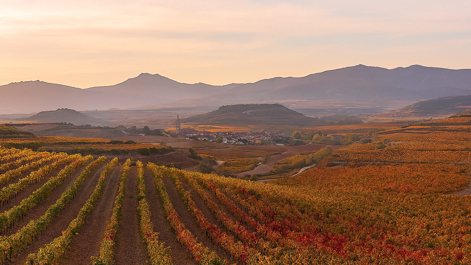 今、静かにアツい!-リオハ・オリエンタル Rioja Oriental